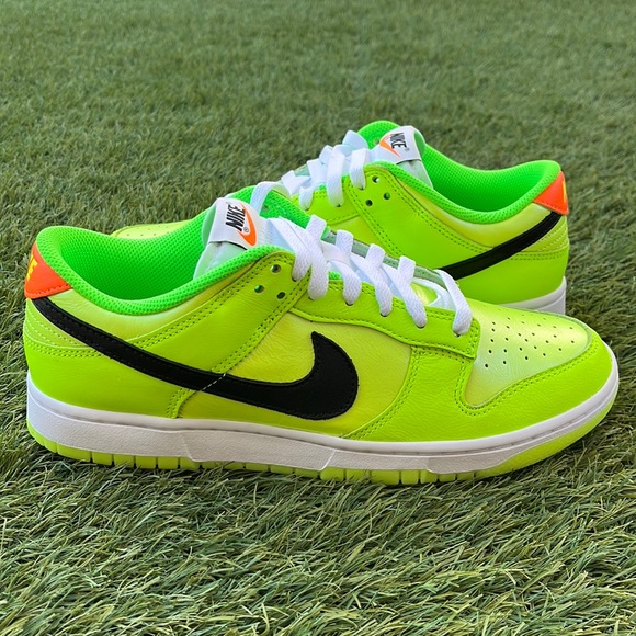 Nike Other - Nike Dunk Low SE